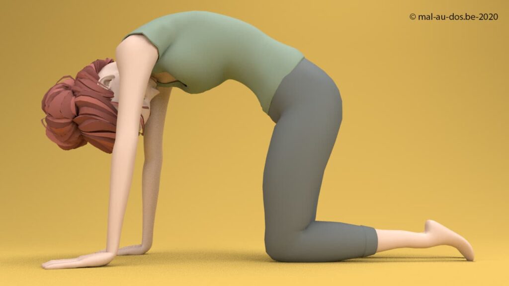 Yoga Stretch For Your Back #6 - Cat Pose