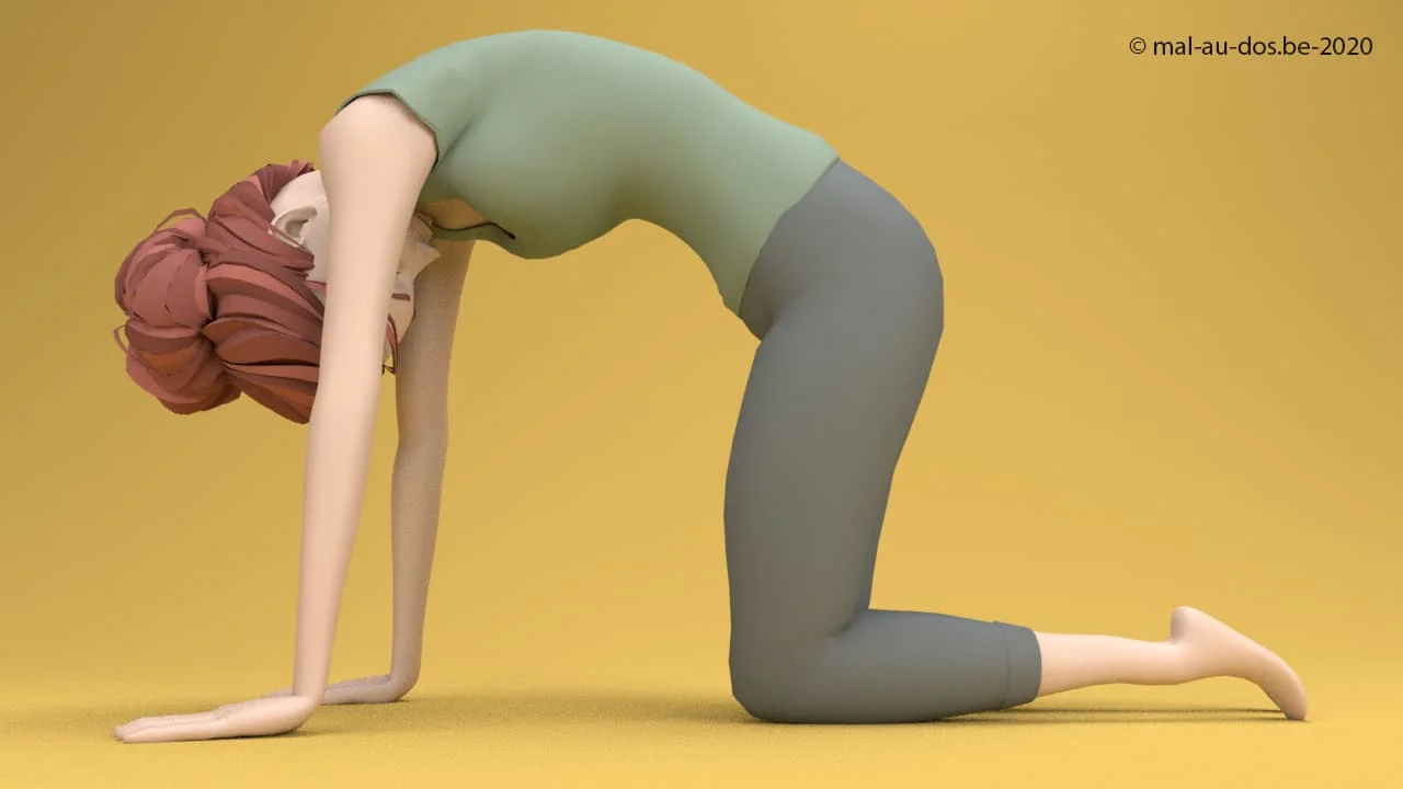 Yoga hernie discale: La posture du chat