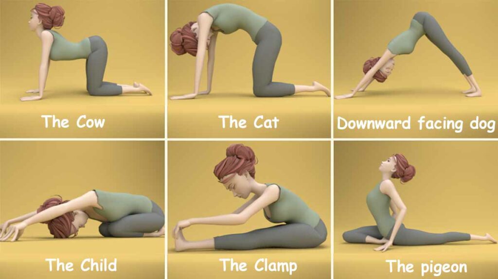 Yoga stretches for your back