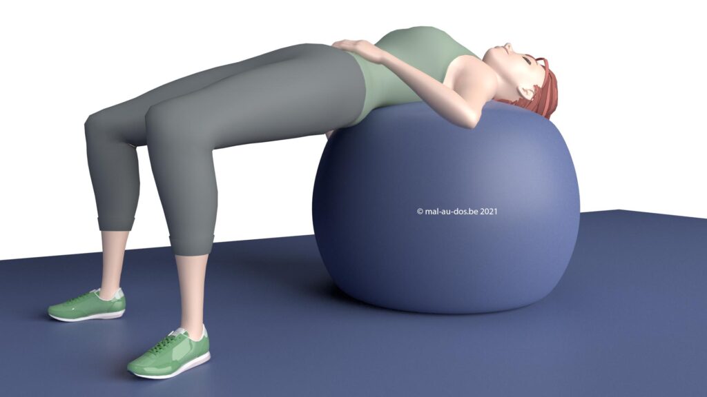 Bridge Position on the Fitness ball.