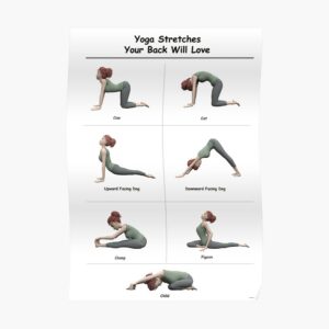 Yoga poster 7 stretches for your back